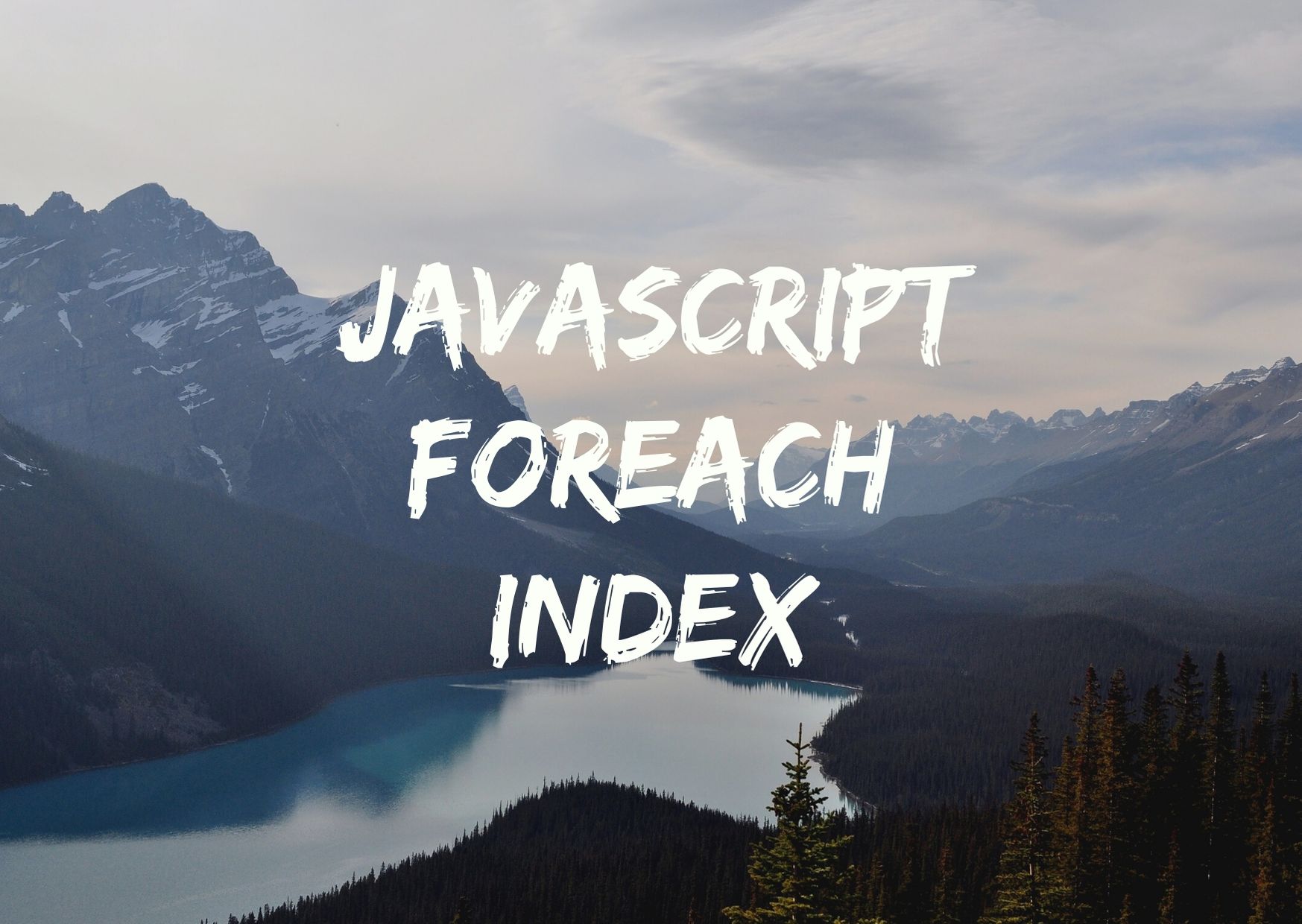 JavaScript ForEach Index Learn JavaScript Blog